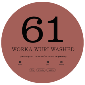 Ethiopian Worka Wuri Station Washed